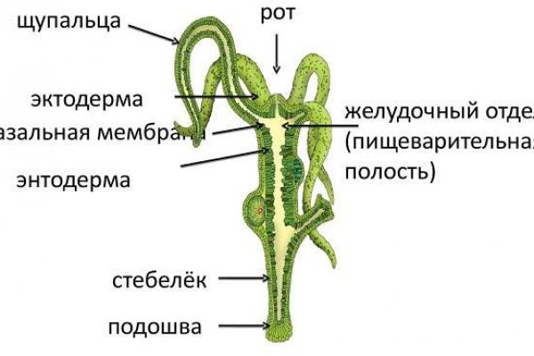 Где купить наркотиков